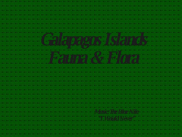 GALAPAGOS ISLANDS........Fauna & Flora
