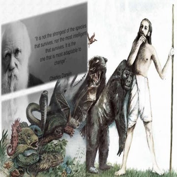 Organizational Change