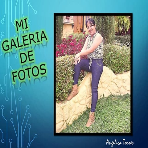 Galería de Fotos