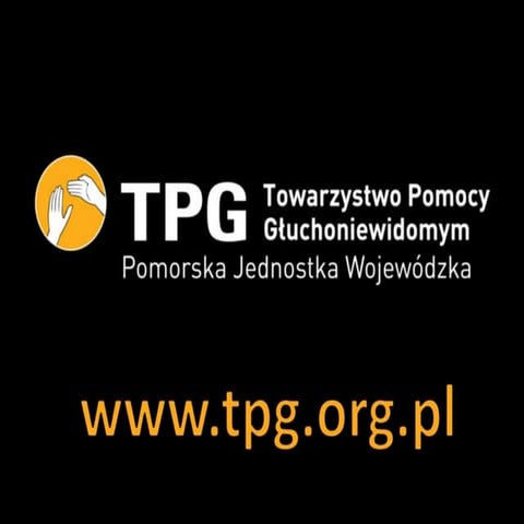 galeria wolontariatu