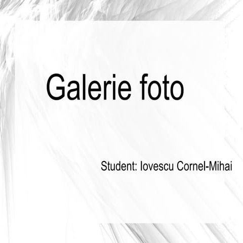 Galerie