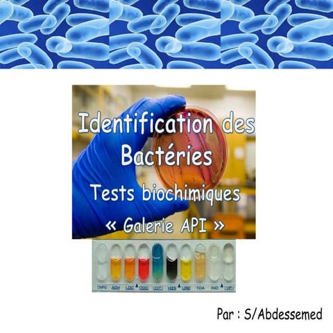 Identification  des bactéries "Galerie biohimique "API"