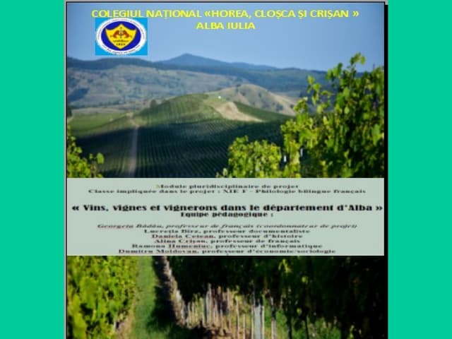 Vins, vignes et vignerons du départ...