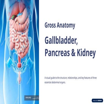 Comprehensive Gross Anatomy of Gallbladder, Pancreas, and Kidneys ...