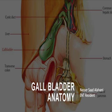 Radiological anatomy of biliary system | PPTX