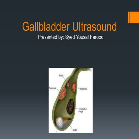 Gallbladder ultrasound (basic)