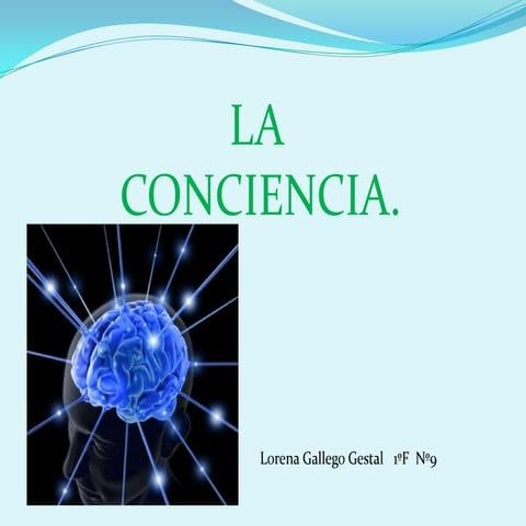 Lorena Gallego ... sobre a conciencia.