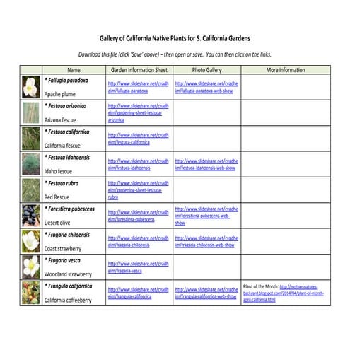 Gallery of california native plants p | PDF