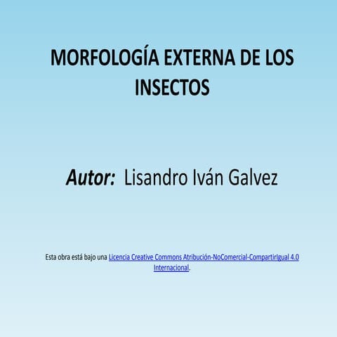 Morfología de Insectos