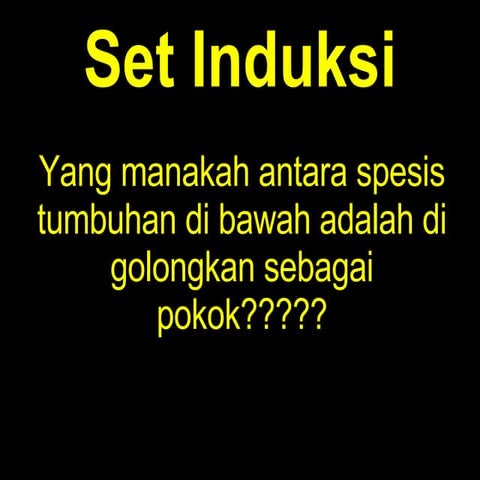 ALN 103-Tanaman Hiasan (Def:pokok)