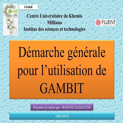 Démarche générale pour l’utilisation de GAMBIT | PDF