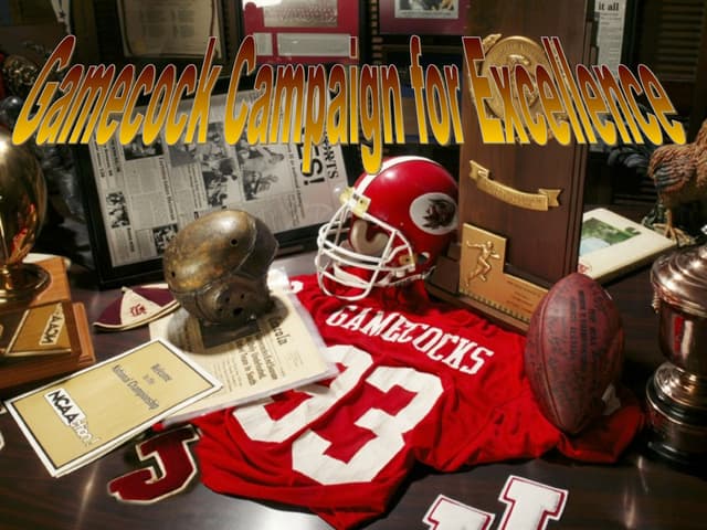 Gamecock Campaing For Excellence