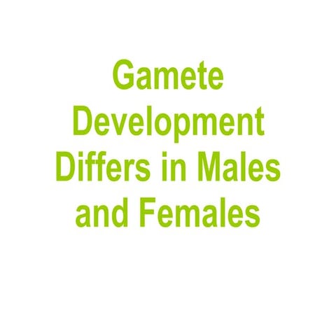 Gamete Devloment
