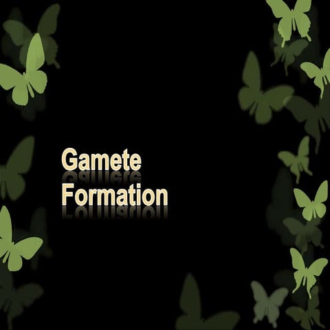 Gamete formation