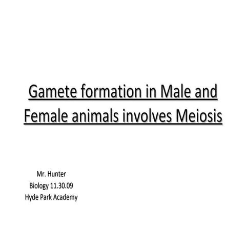 Gametes