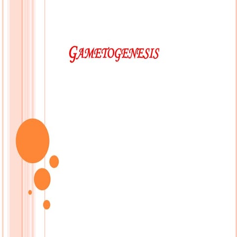 Gametogenesis
