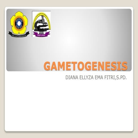GAMETOGENESIS | PPTX