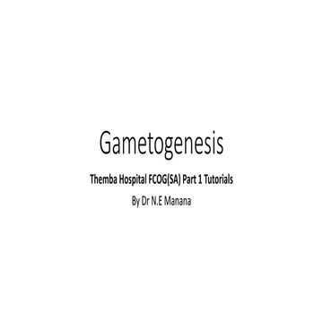 Gametogenesis