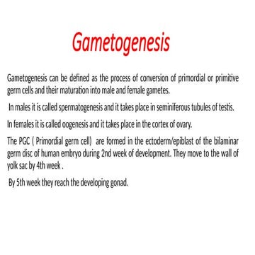 Gametogenesis.pptx for,ation of sperm and ovum | PPTX