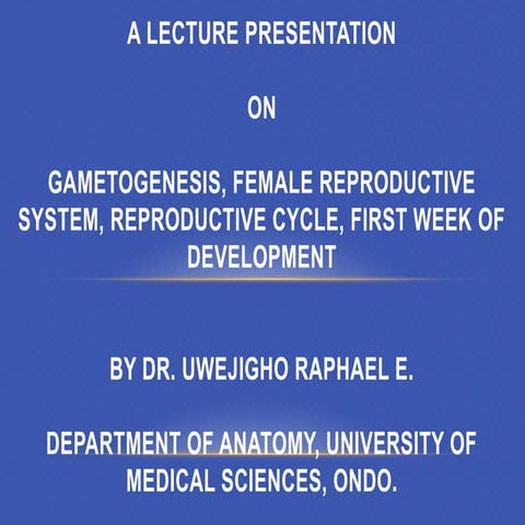 Gametogenesis | PPTX