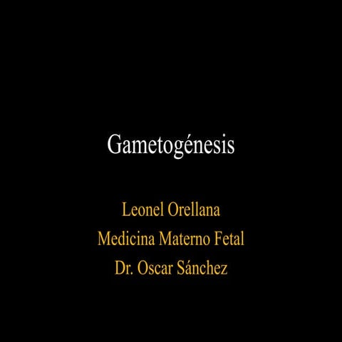 Gametogenesis, ovogenesis y espermatogenesis