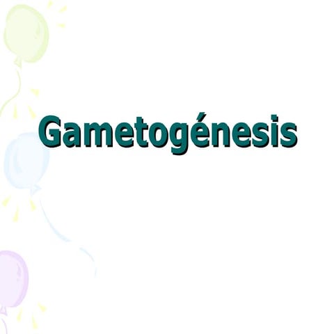 Gametogénesis