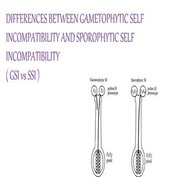 Gametophytic self incompatibility vs sporophytic self incompatibilty