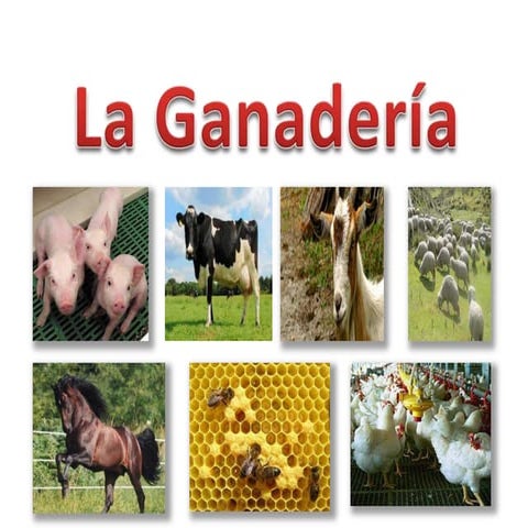 La Ganaderia