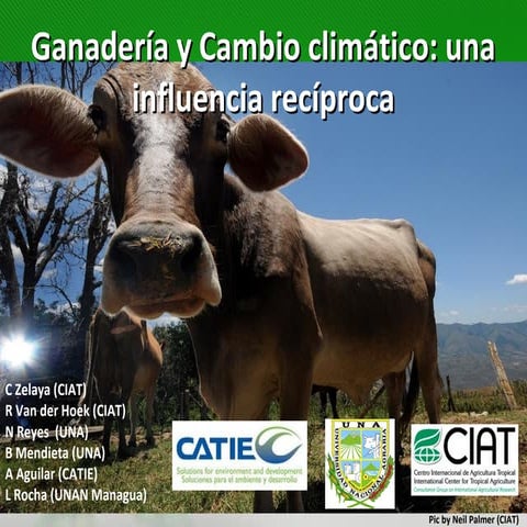 Ganaderia y cambio climatico 20120830