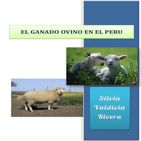 Ganado ovino en el Perú
