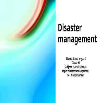 Comprehensive Overview of Disaster Management: Types, Phases, and Roles ...