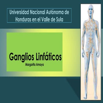 Ganglios Linfaticos  
