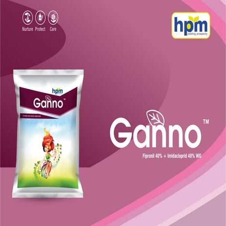 Ganno presentation | PDF
