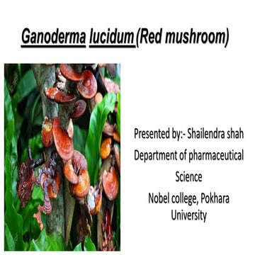Ganoderma lucidum   (Red mushroom)