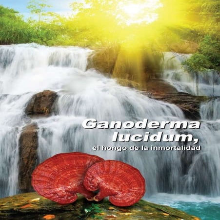 Ganoderma lucidum el hongo de la inmortalidad 1