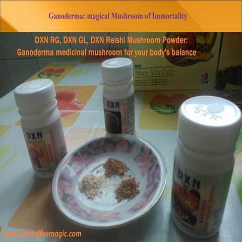 Ganoderma: magical Mushroom of Immortality