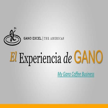 Experiencia Americas