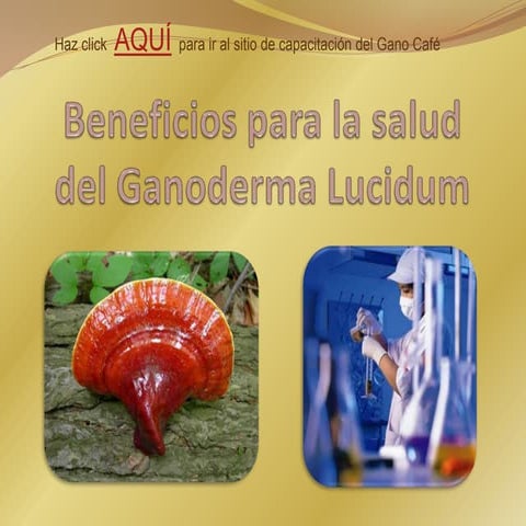 Gano health benefits