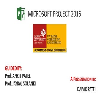 Microsoft project 2013/2016