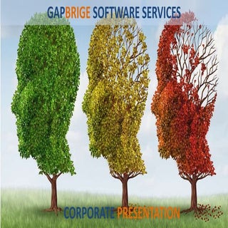 Gap bridge corporate presentation