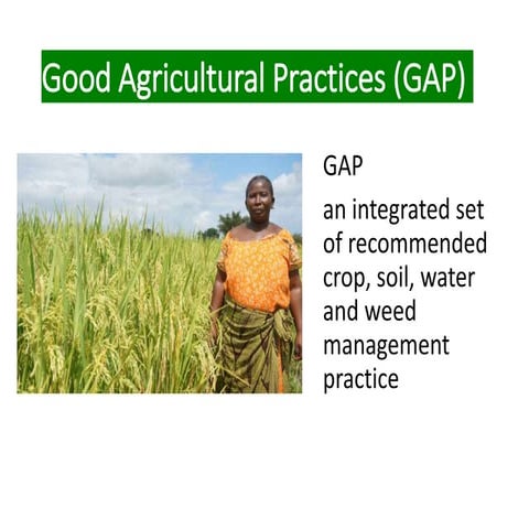 Good Agricultural Practices (GAP)