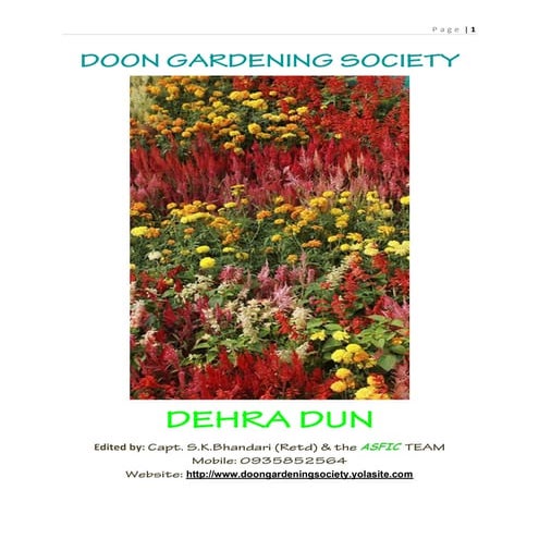 Garden garden activities | PDF