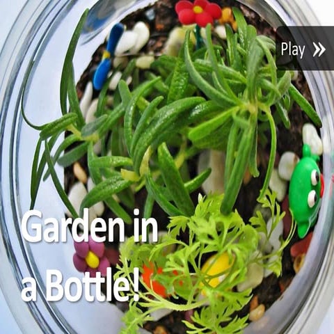 Garden in a bottle - OyeWeekend.com