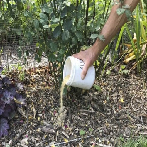 Here Are Signs That You’Re Over-Fertilizing Your Plants | PDF