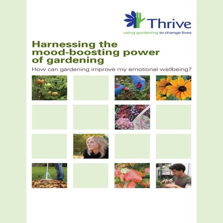 Harnessing the Mood Boosting Power of Gardening