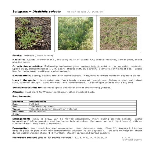 Gardening sheet distichlis spicata | PDF
