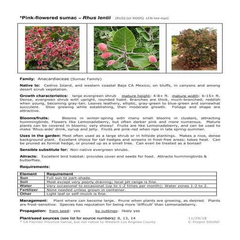 Gardening sheets evergreen shrubs | PDF