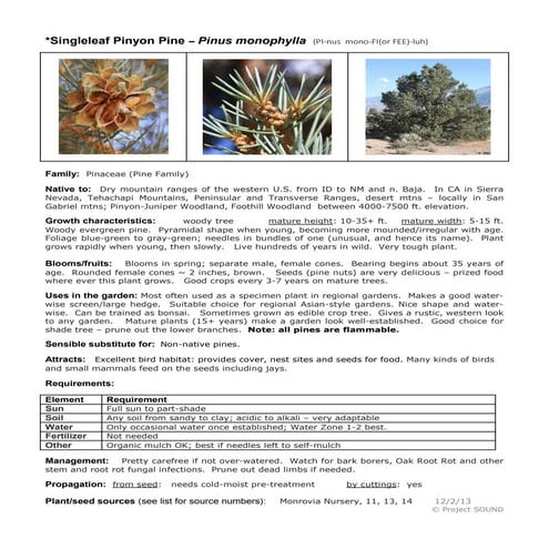 Gardening sheets evergreen shrubs | PDF
