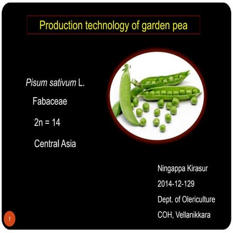 Production technology of garden pea