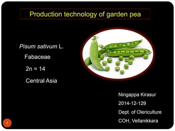 Green Pea presentation | PDF